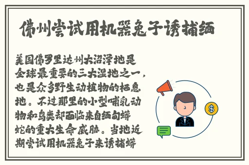 天美传媒免费网站入口